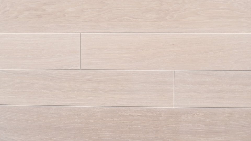 Polskie Dęby - Dąb Wapienny