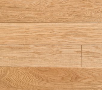 Polish Oaks - Golden Oak