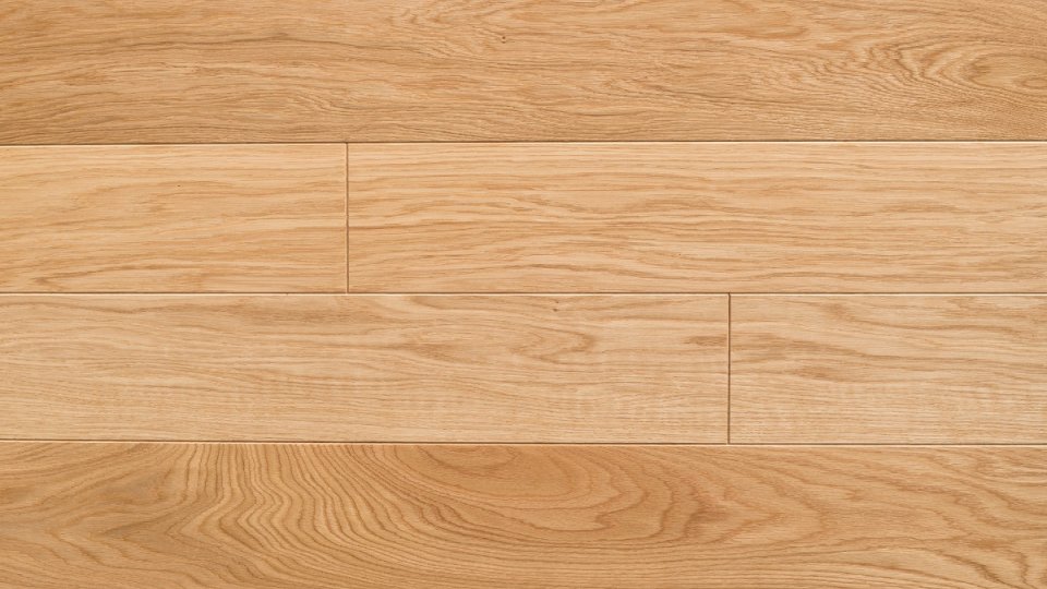 Polskie Dęby - Dąb Złocisty