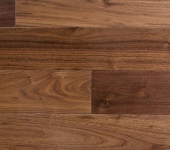 North American walnut