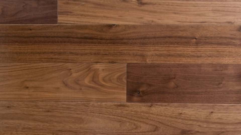 Orzech Północno Amerykański