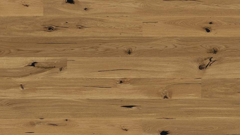 Boen Dąb Espressivo