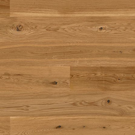 Boen Dąb Indian Summer