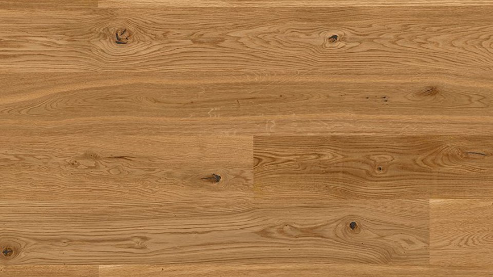 Boen Dąb Indian Summer