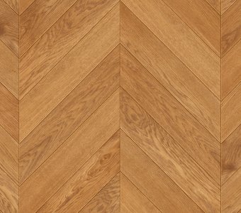 Color Floor French Spruce Oak Amber