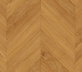 French Fir Oak Oil-based