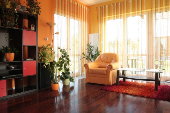 Tamex Merbau Choco Dark