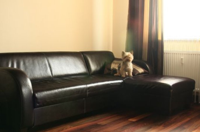 EXO Line Deska Palisander