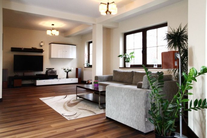 Finish Parkiet Jesion Bursztyn