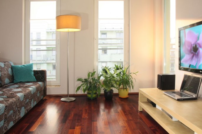 Finish Parkiet Jesion Bursztyn