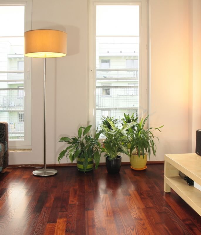 Finish Parkiet Jesion Bursztyn