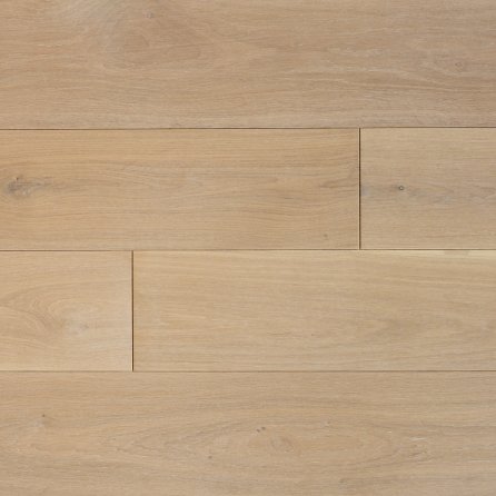 Polskie Dęby - Dąb Wawelski