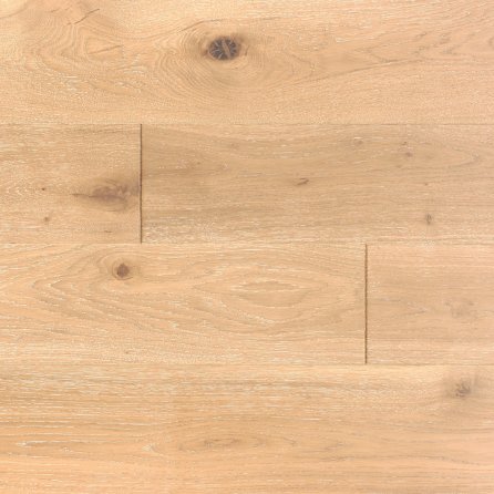 Polskie Dęby - Dąb Magnacki