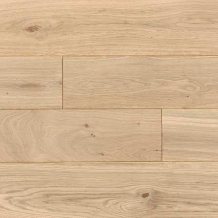 Polskie Dęby - Dąb Loftowy