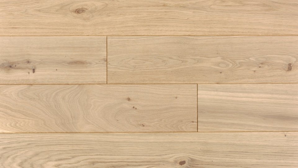 Polskie Dęby - Dąb Loftowy