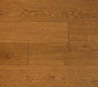 Polish Oaks - Kashubian Oak