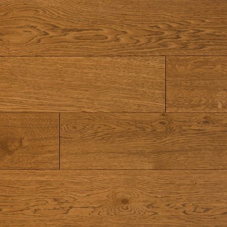 Polskie Dęby - Dąb Kaszubski