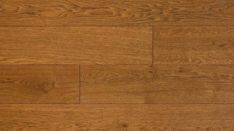 Polskie Dęby - Dąb Kaszubski