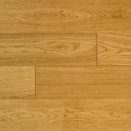 Polskie Dęby - Dąb Herbowy