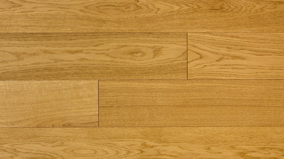 Polskie Dęby - Dąb Herbowy