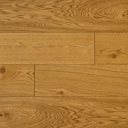 Polskie Dęby - Dąb Jagielloński