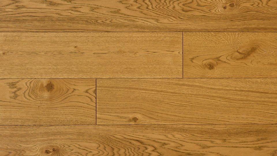 Polskie Dęby - Dąb Jagielloński