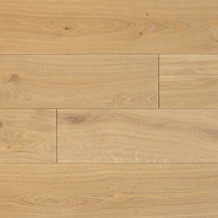 Polskie Dęby - Dąb Katedralny