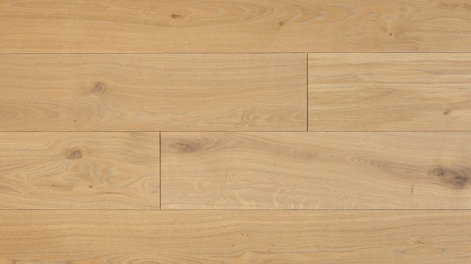 Polskie Dęby - Dąb Katedralny