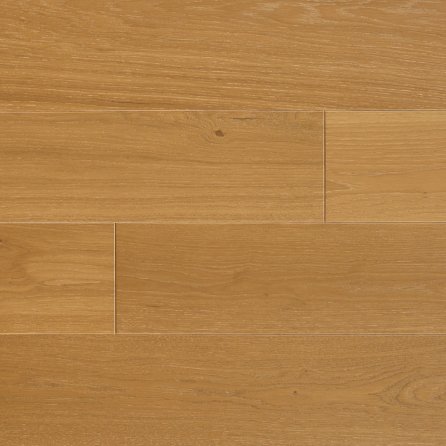 Polskie Dęby - Dąb Krakowski