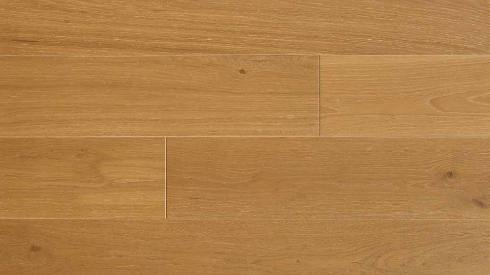 Polskie Dęby - Dąb Krakowski