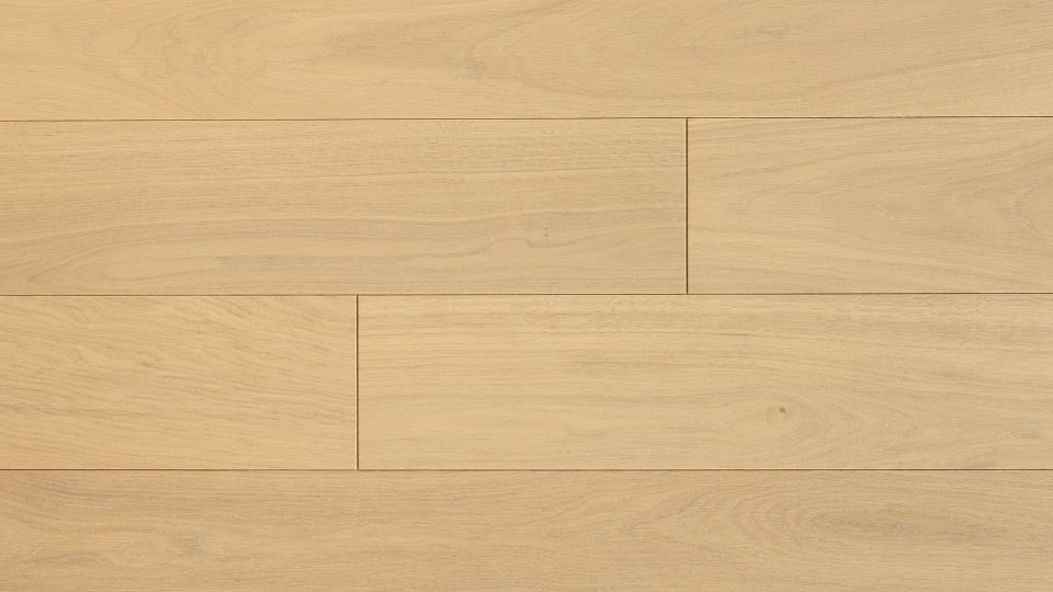 Polskie Dęby - Dąb Słowiański