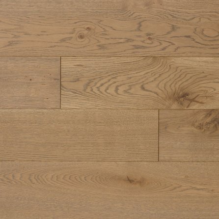 Polskie Dęby - Dąb Piastowski