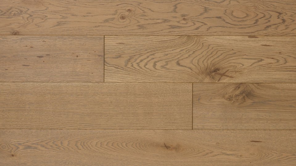 Polskie Dęby - Dąb Piastowski